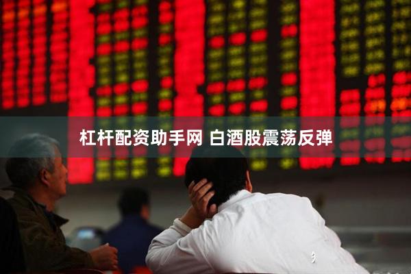 杠杆配资助手网 白酒股震荡反弹